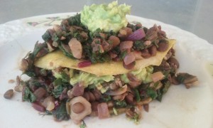 Lentil and Beet Greens Tacos